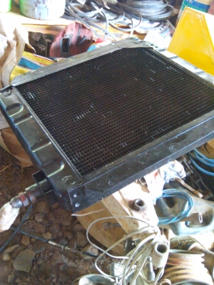 ขายจ้าวช้างไวไฟปลายปี50 ขายจ้าวช้างไวไฟปลายปี50