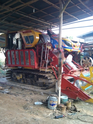 ขายจ้าวช้างไวไฟปลายปี50 ขายจ้าวช้างไวไฟปลายปี50