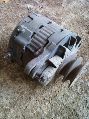 ขายจ้าวช้างไวไฟปลายปี50 ขายจ้าวช้างไวไฟปลายปี50