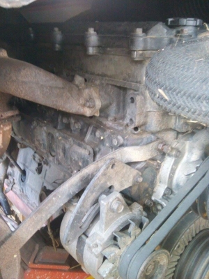 ขายจ้าวช้างไวไฟปลายปี50 ขายจ้าวช้างไวไฟปลายปี50