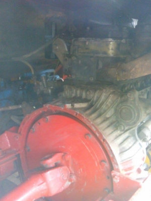 ขายจ้าวช้างไวไฟปลายปี50 ขายจ้าวช้างไวไฟปลายปี50