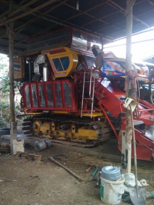 ขายจ้าวช้างไวไฟปลายปี50 ขายจ้าวช้างไวไฟปลายปี50