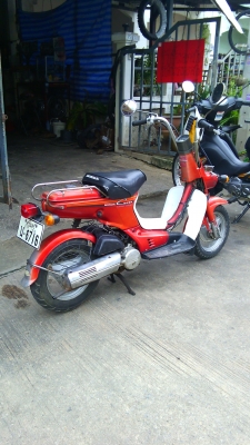 ขายhonda ชาลี 50 cc ออโต 9500  บาท