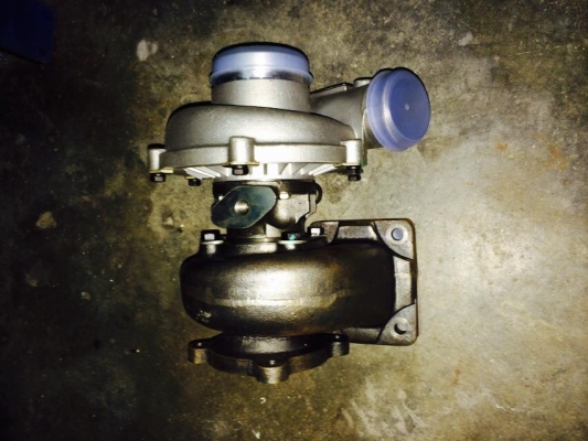 ขายเทอโบ 2 ลูกของใหม่นะคับลูกใหญ่15000เล็ก12000 ขายเทอโบ 2 ลูกของใหม่นะคับลูกใหญ่15000เล็ก12000