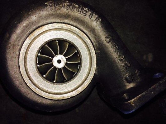 ขายเทอโบ 2 ลูกของใหม่นะคับลูกใหญ่15000เล็ก12000 ขายเทอโบ 2 ลูกของใหม่นะคับลูกใหญ่15000เล็ก12000