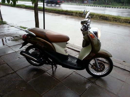 ฟีโน่อามคู่