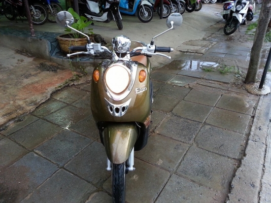 ฟีโน่อามคู่