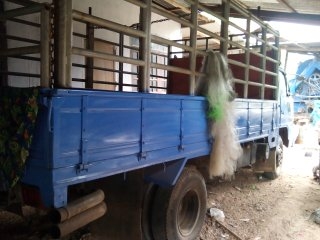 ขาย 6 ล้อ อิซูซุ NPR 59 SUS ปี 30