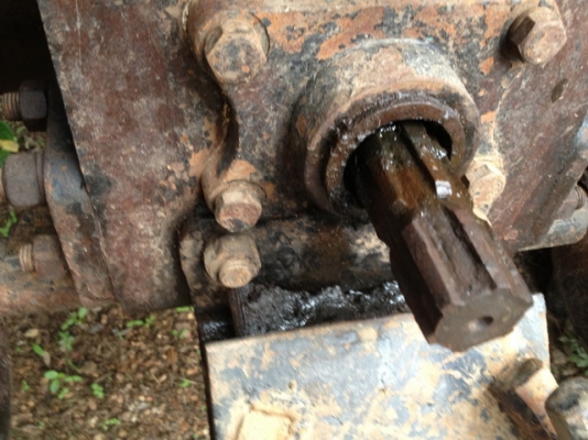 แชมส์ราคาเบาๆ cx484