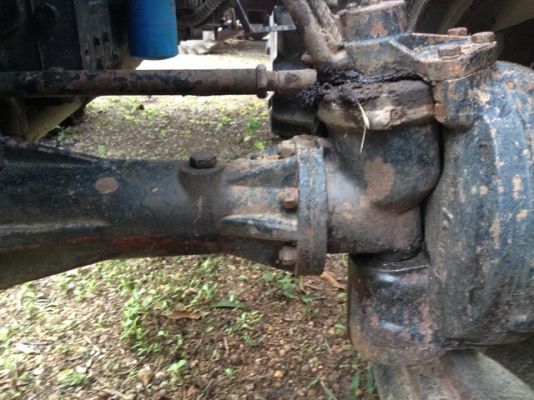 แชมส์ราคาเบาๆ cx484