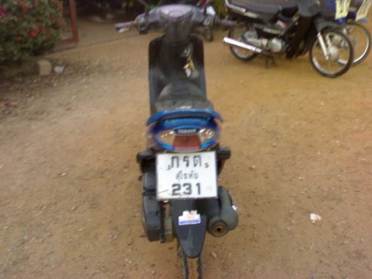 มีโอปี49 ภาษีเต็ม