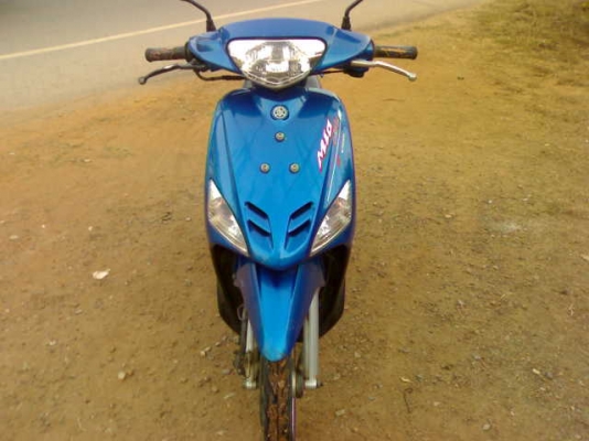 มีโอปี49 ภาษีเต็ม