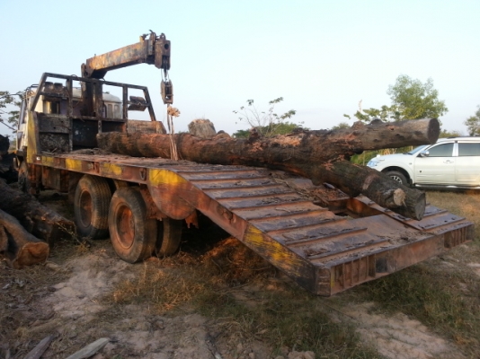 ขายด่วนไอัหลงสองเพลาสิบสปีดหางปลาขึ้นแม็คโครพร้อมเครน3ตัน5ทะเบียนท้ายลาดมีเครื่องทุ่นแรงเรียบร้อยรีบจองด่วน โทร0801515451