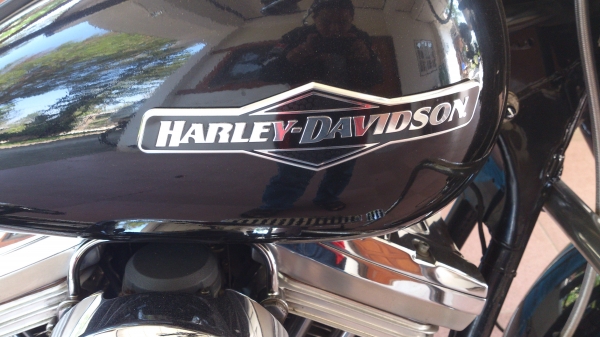 ขาย harley davidson road king มีทะเบียนเเท้