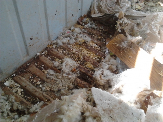 ***ขายแล้วครับขอบคุณ Truck2hand ขาย กระบะตอนเดียว **ช้างเหยียบ 4 ขอ ไฟตั้ง หน้าแว่น "ทวด"NAVARA!!  กระบะคลาสสิค วางเครื่อง ISUZU 2000 ดีเซล แห้ง (ลงเล่ม)คัสซีดี หัวเก๋งไม่ผุ ไม่มีแบต กระบะผุบ้าง กระจกมือหมุนใช้ได้ปกติ ขายตามสภาพ พร้อมต้อนรับนักป