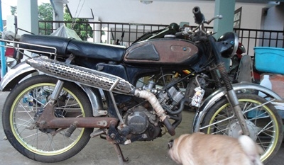 ขายมอไช YL2 เครื่องโซนิก