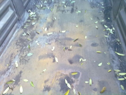 ต้องการขายลูกพ่วงดั๊มพนัส 3 เพลา ปี 39