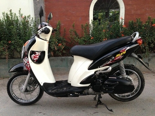 ขายjelatoสีดำปี2554