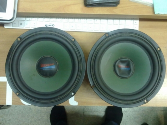 ดอกลำโพง 8 นิ้ว