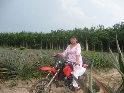 ขายถูกๆวิบาก125cc.คลัชมือ รถสูตรแข่งสนาม มีทะเบียน ด่วน ขายถูกๆวิบาก125cc.คลัชมือ รถสูตรแข่งสนาม มีทะเบียน ด่วน