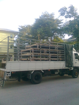 ขายFC4J 145 อินเตอร์ สมอทอง กระบะใหม่ สามเดือน