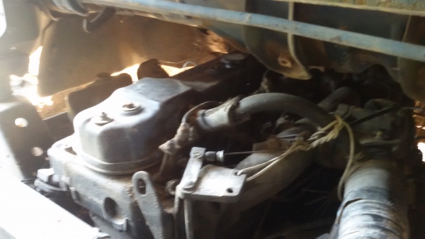 ขายดั้มด่วน