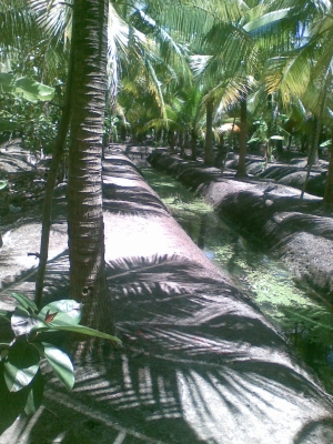 ที่ดิน1ไร่ สมุทรสงคราม