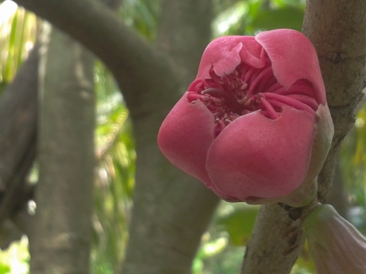 ที่ดิน1ไร่ สมุทรสงคราม