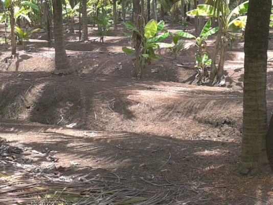 ที่ดิน1ไร่ สมุทรสงคราม