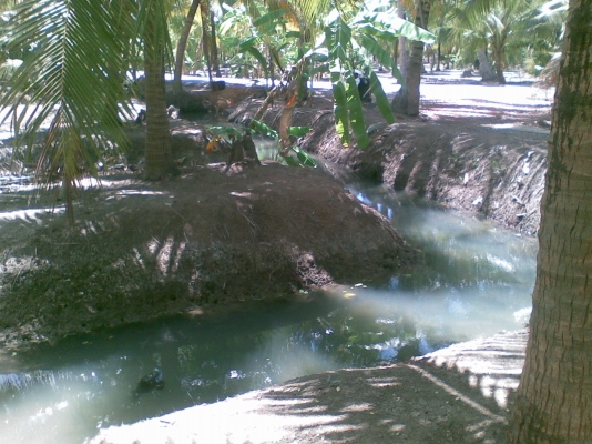 ที่ดิน1ไร่ สมุทรสงคราม