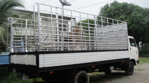 HINO ฃุปเปอร์เสี่ย 117แรง ยาว5.50ม.  เครื่องดี คัสฃีสวยจัด