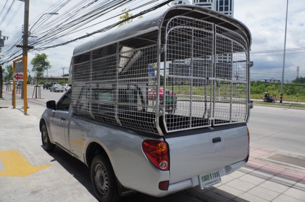 MITSUBISHI TRITON ตอนเดียว ปี 2007 รถสวย พวงมาลัยพาวเวอร์ แอร์เย็น เครื่องเดิมแน่นๆ ช่วงล่างดี รถขับดีมาก มีแม็กไลเนอร์ ภายในสภาพสวย สีสวย รถพร้อมใช้งาน จัดไฟแนนได้