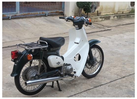 Honda C50 รุ่น Super Cub (เก่าญี่ปุ่น) Honda C50 รุ่น Super Cub (เก่าญี่ปุ่น)