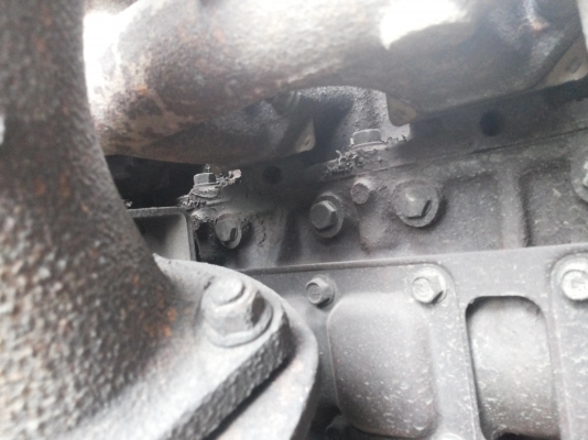 ดั้มฟูโชสวยซุ่นชัย1250000