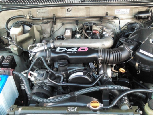 ขายไทเกอร์ คอมมอลเรว D4D