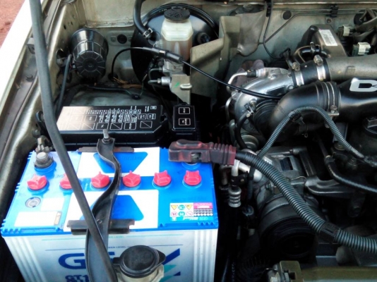 ขายไทเกอร์ คอมมอลเรว D4D