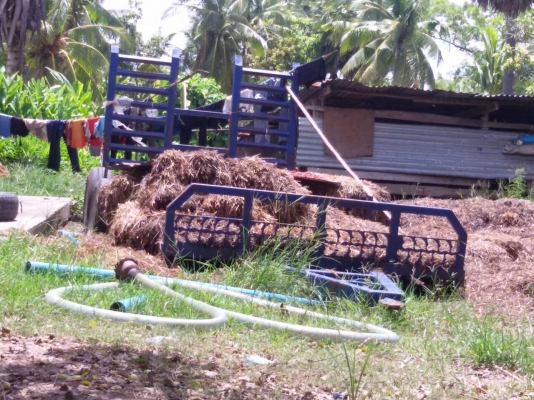 28000บาท ลดแล้วนะครับงดต่อรอง เทนเลอร์รถเกี่ยว พร้อมใช้