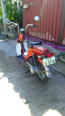 ขายhonda ชาลี 50 cc ออโต 9500  บาท