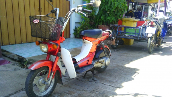 ขายhonda ชาลี 50 cc ออโต 9500  บาท
