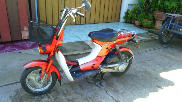 ขายhonda ชาลี 50 cc ออโต 9500  บาท