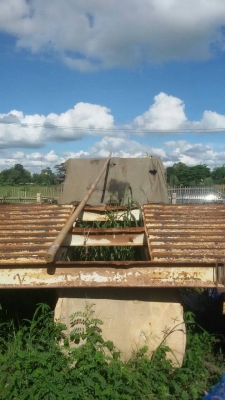 ขายหางพื้นเทเลอร์ต่อมาใช้ไม่ถึงปี สภาพสวยพร้อมใช้ ติดต่อได้ที่คุณ อ๊อฟ พิจิตร 086-737-9991 ขายหางพื้นเทเลอร์ต่อมาใช้ไม่ถึงปี สภาพสวยพร้อมใช้ ติดต่อได้ที่คุณ อ๊อฟ พิจิตร 086-737-9991