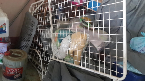 ขายชุดเกี่ยวข้าวโพด KUBOTA DC70G