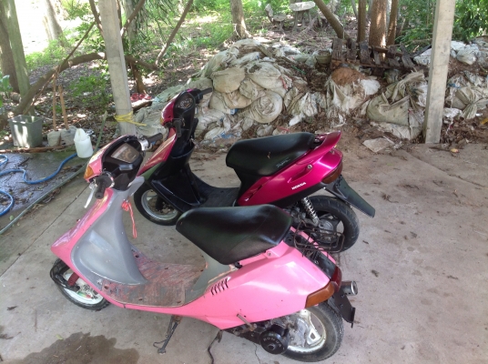 ขายแพ็กคู่ถูกๆคับ af28โคมเหลืองกะdj1