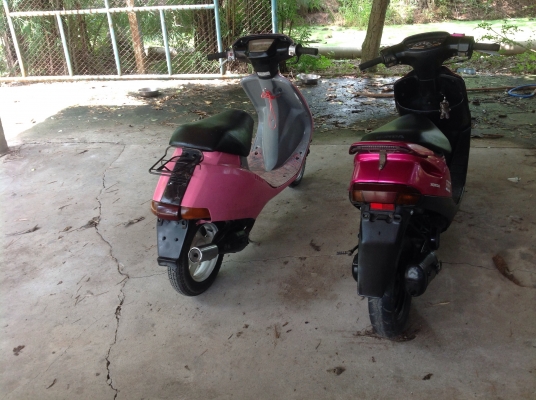 ขายแพ็กคู่ถูกๆคับ af28โคมเหลืองกะdj1