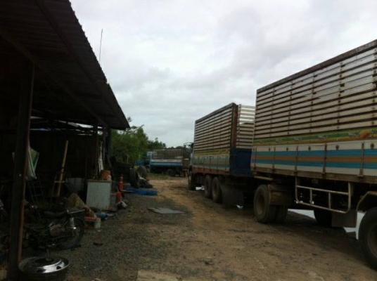 ขายรถพ่วง เป็นรถประกอบ HINO 325เเรงม้า เเม่ลูกดัมพ์เกษตรคอกมีเนียม รถพร้อมใช้งาน ขายรถพ่วง เป็นรถประกอบ HINO 325เเรงม้า เเม่ลูกดัมพ์เกษตรคอกมีเนียม รถพร้อมใช้งาน