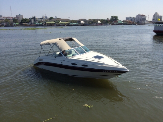 ขายเรือสำราญ Celebrity c220 cuddy cabin ขายเรือสำราญ Celebrity c220 cuddy cabin