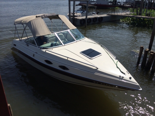 ขายเรือสำราญ Celebrity c220 cuddy cabin