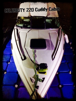 ขายเรือสำราญ Celebrity c220 cuddy cabin ขายเรือสำราญ Celebrity c220 cuddy cabin