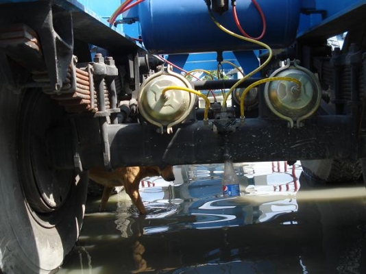 ขายหาง RCK ก้างปลา ปี 54 ราคา 250,000.- ขายหาง RCK ก้างปลา ปี 54 ราคา 250,000.-