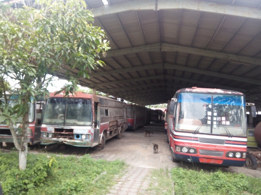 ขายรถบัส 30 คัน แอร์ พัด เครื่องแก็ส ดีเซล ขายเหมารวม